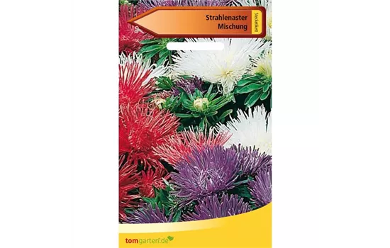 Strahlenaster Strahlenaster