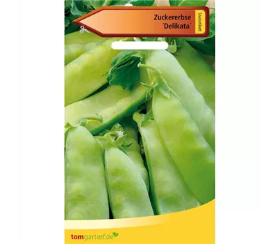 Zuckererbse 'Delikata'