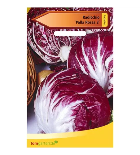 Chicorée 'Palla Rossa'