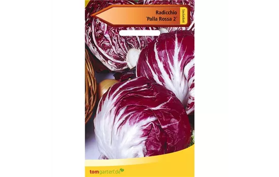 Chicorée 'Palla Rossa' Chicorée 'Palla Rossa'