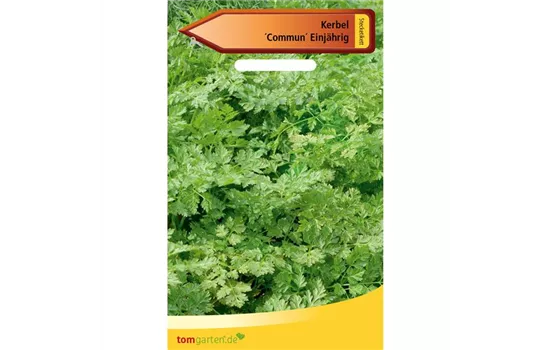 Kerbel 'Commun' Kerbel 'Commun'