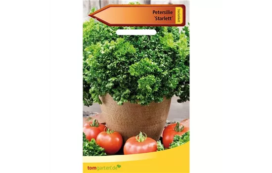 Petersilie 'Starlett' Petersilie 'Starlett'