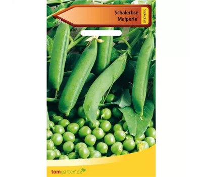 Schalerbse 'Maiperle'