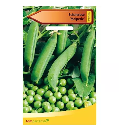 Schalerbse 'Maiperle'