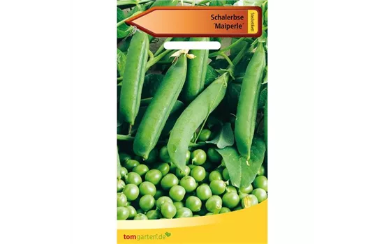 Schalerbse 'Maiperle' Schalerbse 'Maiperle'