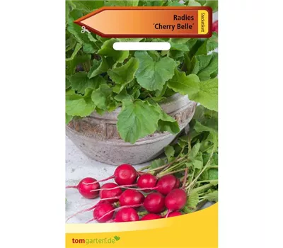 Radieschen 'Cherry Belle' Radieschen 'Cherry Belle'