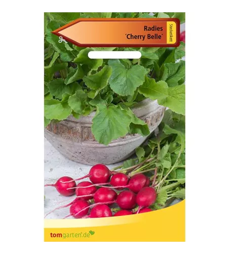 Radieschen 'Cherry Belle'