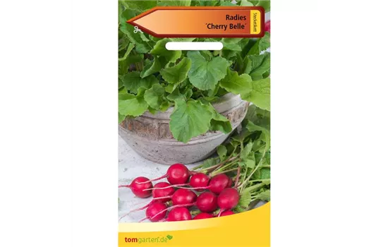 Radieschen 'Cherry Belle' Radieschen 'Cherry Belle'
