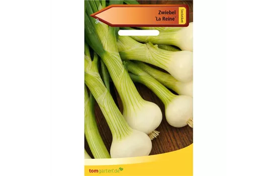 Zwiebel 'La Reine' Zwiebel 'La Reine'