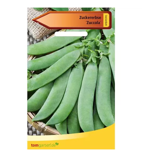 Zuckererbse 'Zuccola'