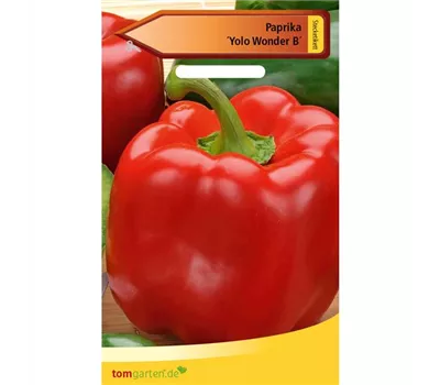 Paprika 'Yolo Wonder B'