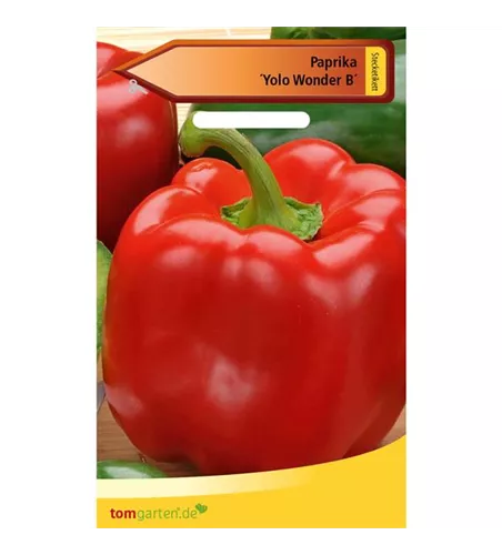 Paprika 'Yolo Wonder B'