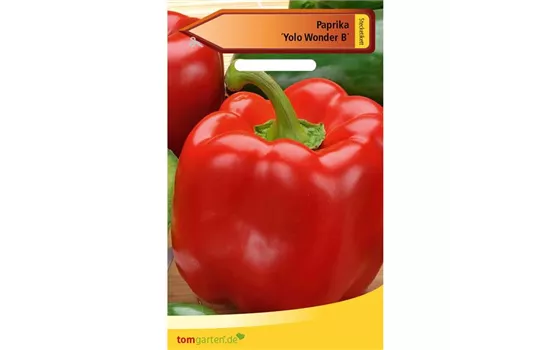 Paprika 'Yolo Wonder B' Paprika 'Yolo Wonder B'