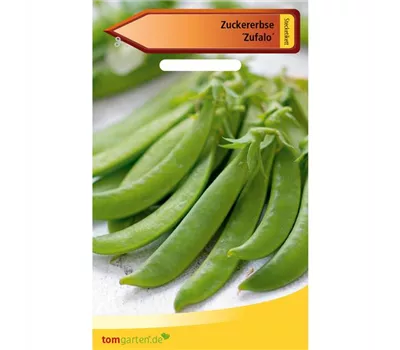 Zuckererbse 'Zufalo'