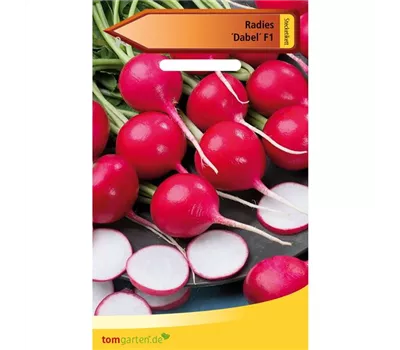 Radieschen 'Dabel' Radieschen 'Dabel'