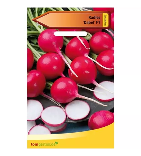 Radieschen 'Dabel'