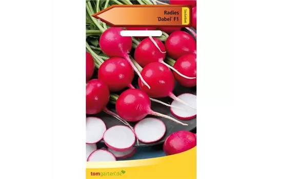 Radieschen 'Dabel' Radieschen 'Dabel'