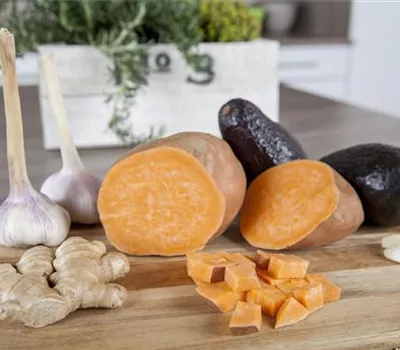 Süßkartoffel 'Erato'® Orange Süßkartoffel 'Erato'® Orange