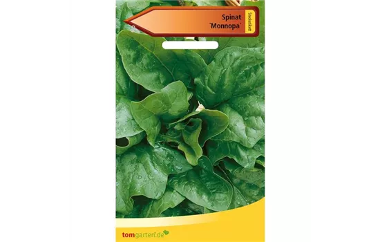 Echter Spinat 'Monnopa' Echter Spinat 'Monnopa'