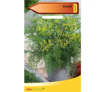 Tetra-Dill 'Tetra' Tetra-Dill 'Tetra'