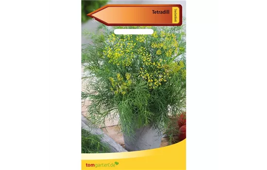 Tetra-Dill 'Tetra' Tetra-Dill 'Tetra'