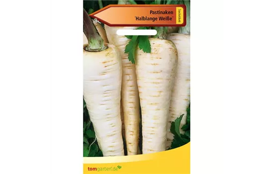 Pastinake 'Halblange Weiße'