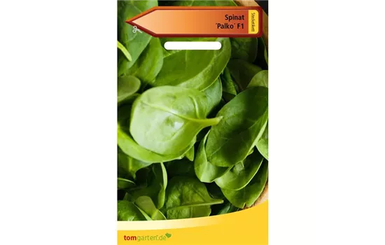 Spinat 'Palco F1' Spinat 'Palco F1'
