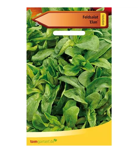 Feldsalat 'Elan'