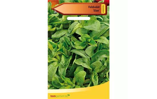 Feldsalat 'Elan' Feldsalat 'Elan'