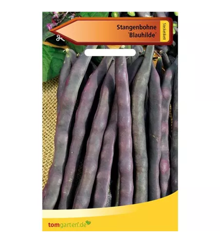 Stangen-Bohne 'Blauhilde'