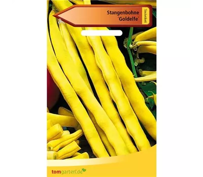 Stangenbohne 'Goldelfe'