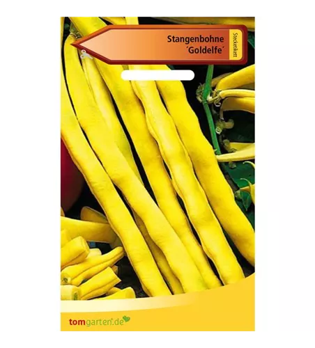 Stangenbohne 'Goldelfe'
