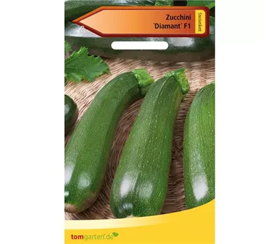 Zucchini 'Diamant F1' Zucchini 'Diamant F1'