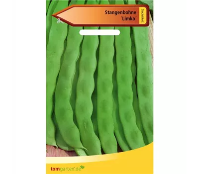 Stangenbohne 'Limka'