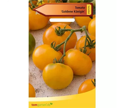 Tomate 'Goldene Königin'
