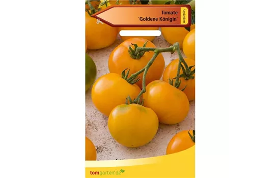 Tomate 'Goldene Königin' Tomate 'Goldene Königin'