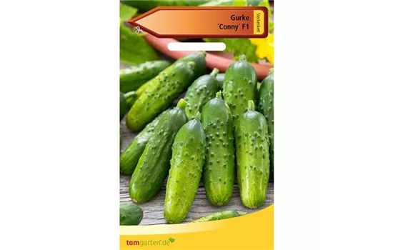 Einlegegurke 'Conny F1' Einlegegurke 'Conny F1'