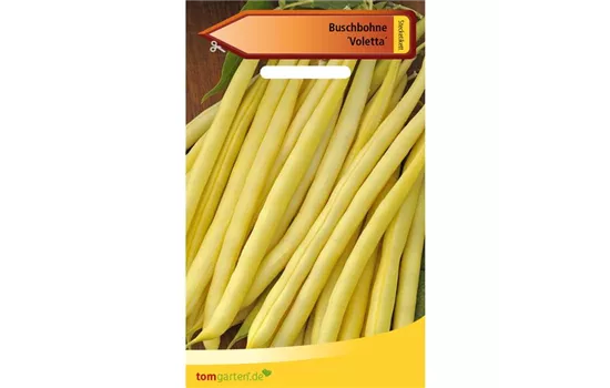 Wachs-Busch-Bohne 'Voletta' Wachs-Busch-Bohne 'Voletta'