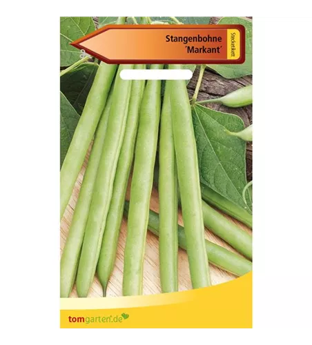 Stangenbohne 'Markant'