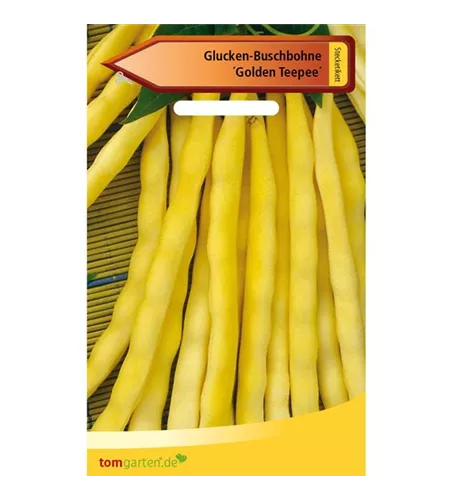 Busch-Bohne 'Golden Teepee'