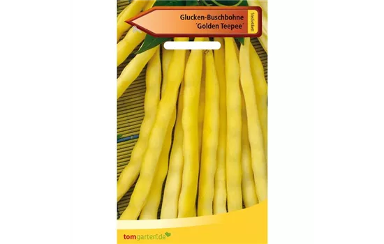 Busch-Bohne 'Golden Teepee' Busch-Bohne 'Golden Teepee'