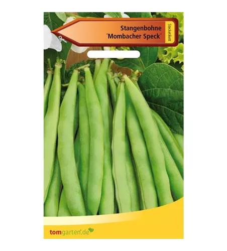 Stangen-Bohne 'Mombacher Speck'