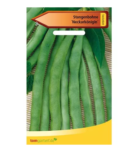 Stangen-Bohne 'Neckarkönigin'