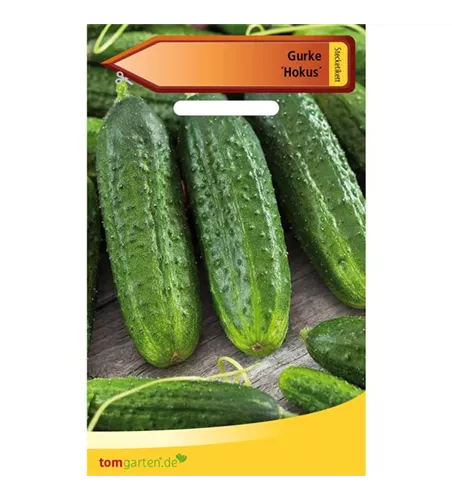 Gurke 'Hokus'