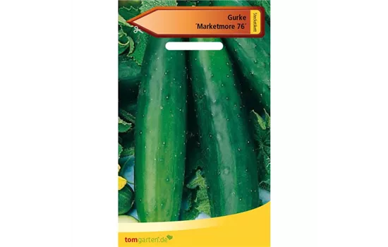 Gurke 'Marketmore' Gurke 'Marketmore'