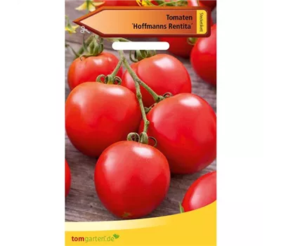 Buschtomate 'Hoffmanns Rentita' Buschtomate 'Hoffmanns Rentita'