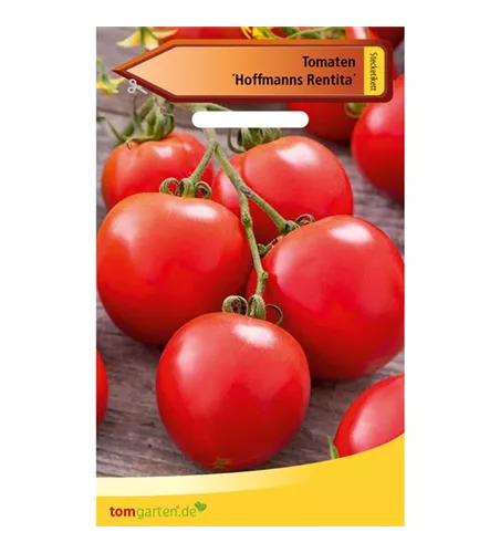 Buschtomate 'Hoffmanns Rentita'