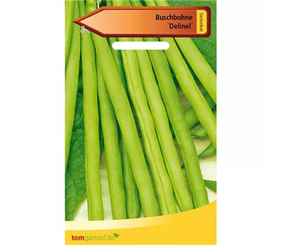 Busch-Bohne 'Delinel' Busch-Bohne 'Delinel'