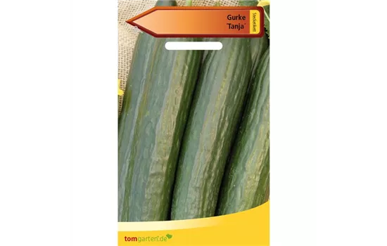 Gurke 'Tanja' Gurke 'Tanja'