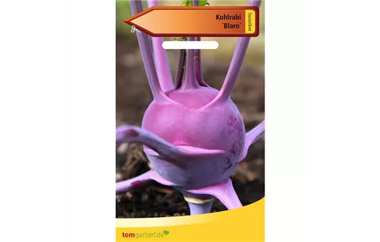 Kohlrabi 'Blaro' Kohlrabi 'Blaro'